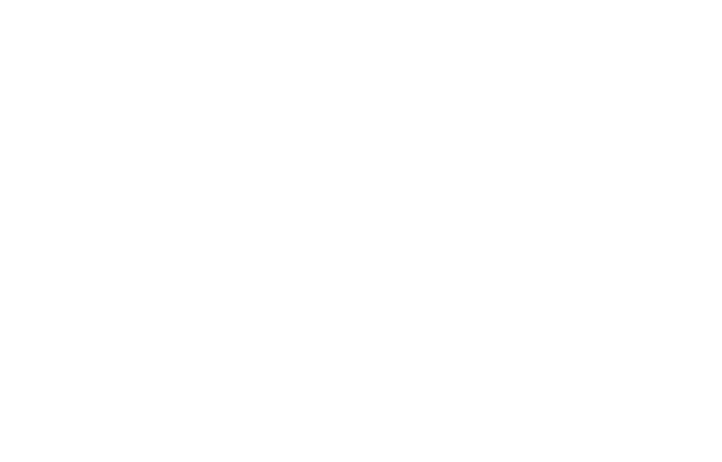 LT+BCORP_negativo