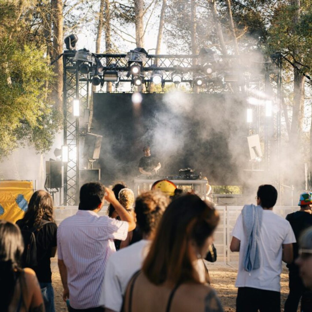 DJ a atuar num palco ao ar livre rodeado de árvores, com luzes e fumo, perante o público.